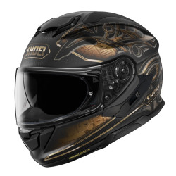 01-img-shoei-casco-moto-gtair3-nile-tc9